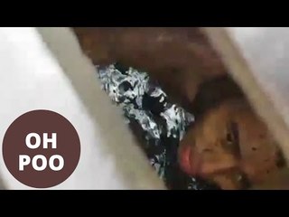 Teenager trapped in sewer after jumping in to find a spoon