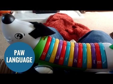 Shocked grandparents claim alphabet toy shouts the F**K