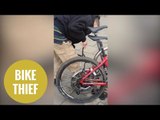 Thief uses a pair of bolt cutters to break through a bicycle lock