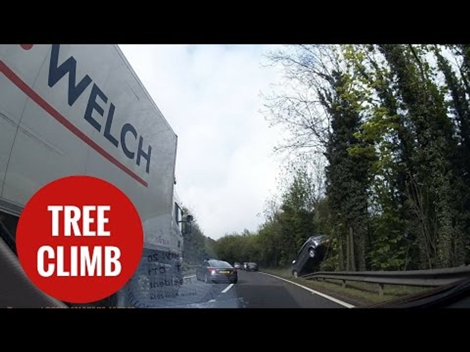 Hilarious moment car rolls backwards in heavy traffic and mounts a tree
