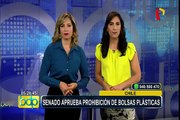 Chile: prohíbe el uso de bolsas plásticas en todo su territorio