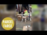 DPD delivery driver lobbing parcels into a lorry