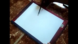 How To Draw Sunflower | Como Dibujar Un Girasol | Paso a Paso | PvZ 2
