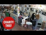 Thief caught on CCTV stealing from children's charity