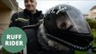 Adorable rescue dog goes on motorbike rides dressed in full leather