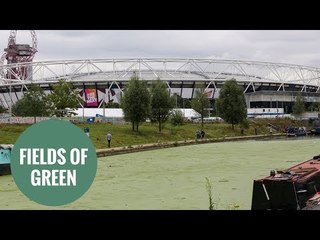 Canals near Olympic Park have been invaded with tonnes of weeds