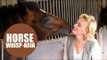 Racehorse trainer sings OPERA to her horses