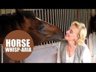 Racehorse trainer sings OPERA to her horses