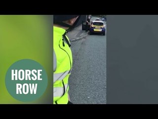 Driving tutor fired after caught shouting and swearing at children on horseback