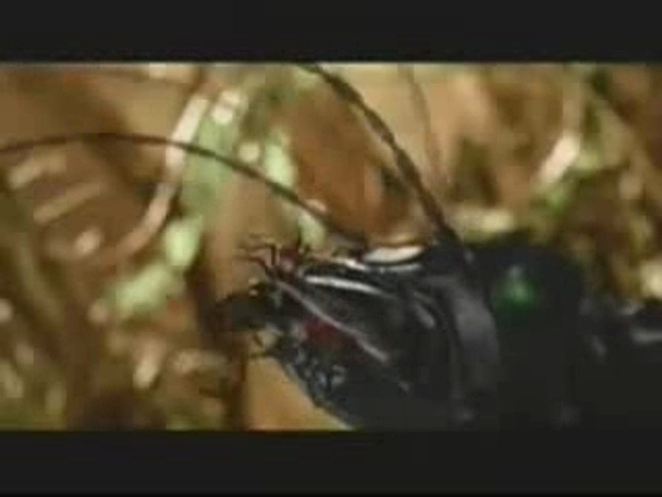 Rammstein-Links 2,3,4