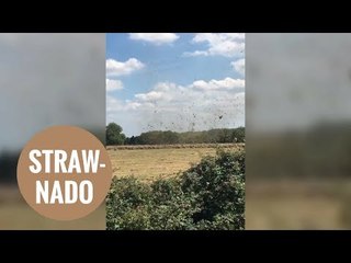 This is the bizarre moment a STRAW-NADO takes off in a field