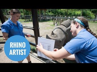 A rhino has been taught how to PAINT