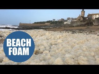 This video shows how Hurricane Ophelia transformed a popular tourist beach into a white wonderland