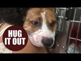 An exhausted rescue dog which is covered in scars gets its first real hug