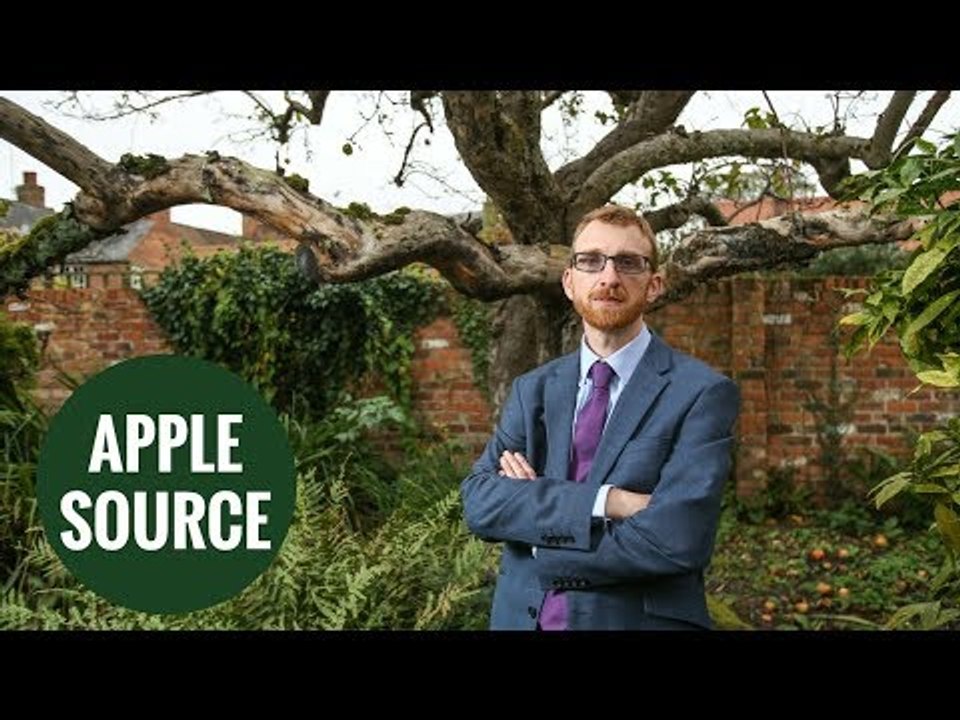 Britain's original Bramley apple tree could be saved by university
