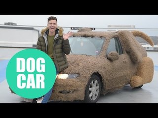 Car salesman turns his girlfriend's car into a DOG