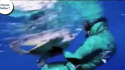 Heróis Reais - Pessoas Ajudam e Salvam Animais - Muito emocionante (tente não chorar)