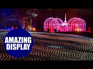A beautiful festive lights display at the Birmingham Botanical Gardens
