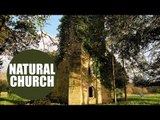 Incredible video of church which has been reclaimed by nature