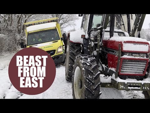 The 'Beast from the East' has coated the South East in inches of snow