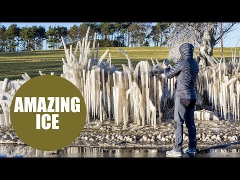 Bizarre ice sculpture which was created by water splashing from a puddle during freezing conditions