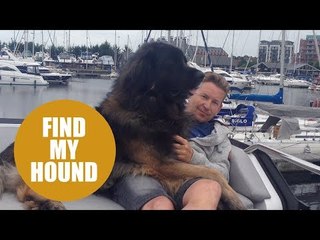 Distraught dog owner sends helicopter out to find his beloved dog