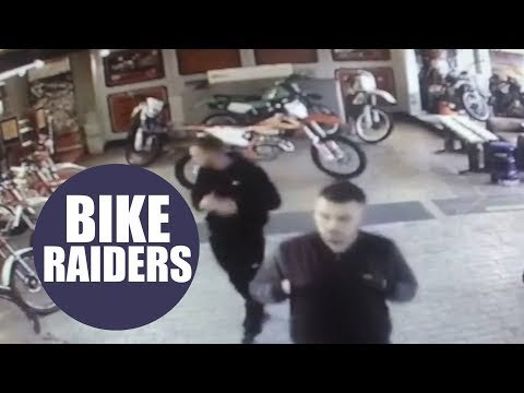 CCTV captures brazen thieves posing as customers before wheeling motorbikes out of shop