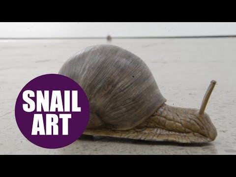 Mechanical SNAILS crawl around the floor at art gallery