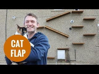 Pet owner installs ladder to keep warring animals apart