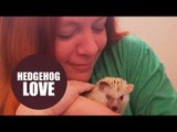 Woman goes on first dates for cash to support her hedgehog rescue center