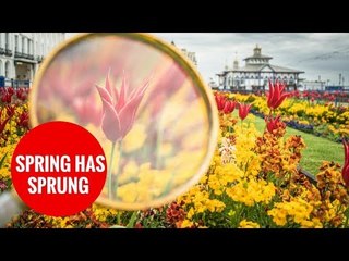 Photographer uses magnifying glass to capture flowers in their finest form