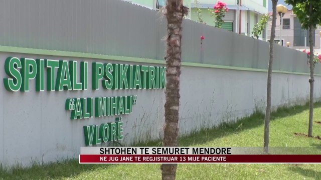 Shtohen të sëmurët mendore, në jug 13 mijë pacientë - News, Lajme - Vizion Plus