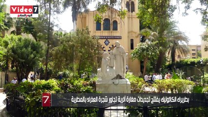 بطريرك الكاثوليك يفتتح تجديدات مغارة أثرية تجاور شجرة العذراء بالمطرية