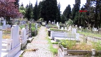 Megakent'te her yıl Bayburt'un nüfusu kadar kişi ölüyor