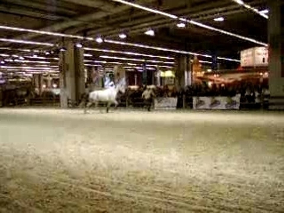 IMGP0553