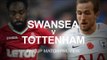 Swansea v Tottenham - FA Cup Quarter-Final Match Preview