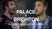 Crystal Palace v Brighton - Premier League Match Preview