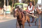 New And Best latest Full Length Horse Race Video| Latest Horse Cart Race On The Street 2016 PART-1