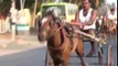 New And Best latest Full Length Horse Race Video| Latest Horse Cart Race On The Street 2016 PART-1
