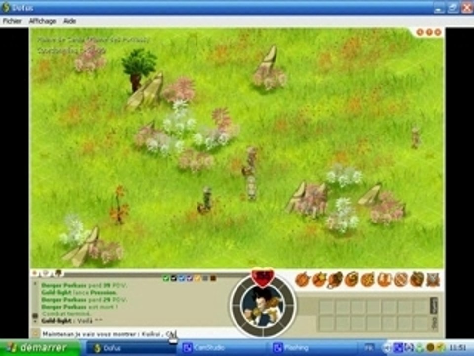 Gold-light (moi) lvl 26 au Porkass et