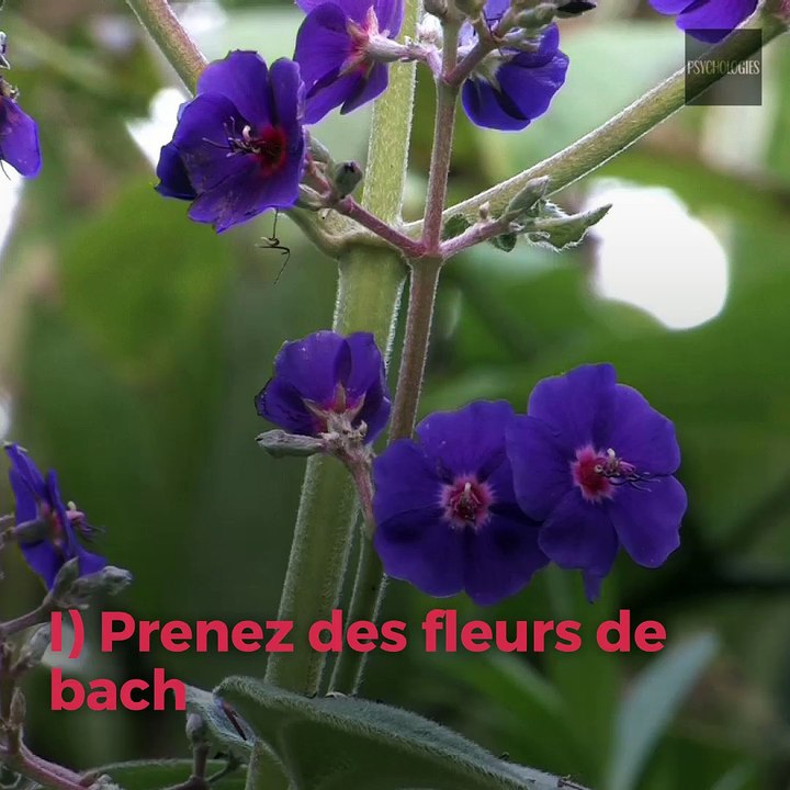 3 remèdes naturels contre les crises d'angoisse