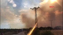 Çanakkale Ezine'de Orman Yangını