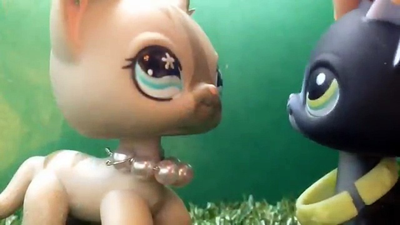 LPS: ~Тебя нехватание~ 1 серия (Самовлюбленная модель)