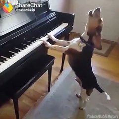 IK IESI LARKI THI HD SONGS