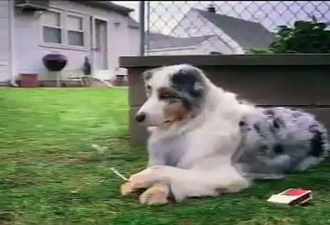 STARTING YOUNG:   Smoking among school kids and teenagers has become quite prevalent. They think it's cool because their friends or parents do it. They're conv