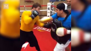 Canelo Alvarez Boxing Training | Muscle Madness