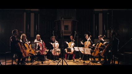 Cello Octet Amsterdam - Hanging D
