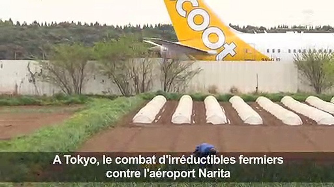 A Tokyo, le combat d'irréductibles fermiers con...