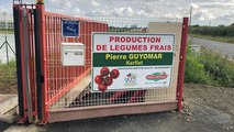 Pierre Guyomar ouvre au public sa serre à tomates