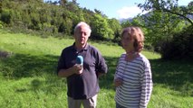 D!CI TV : une nouvelle attaque de loups dans les Hautes-Alpes